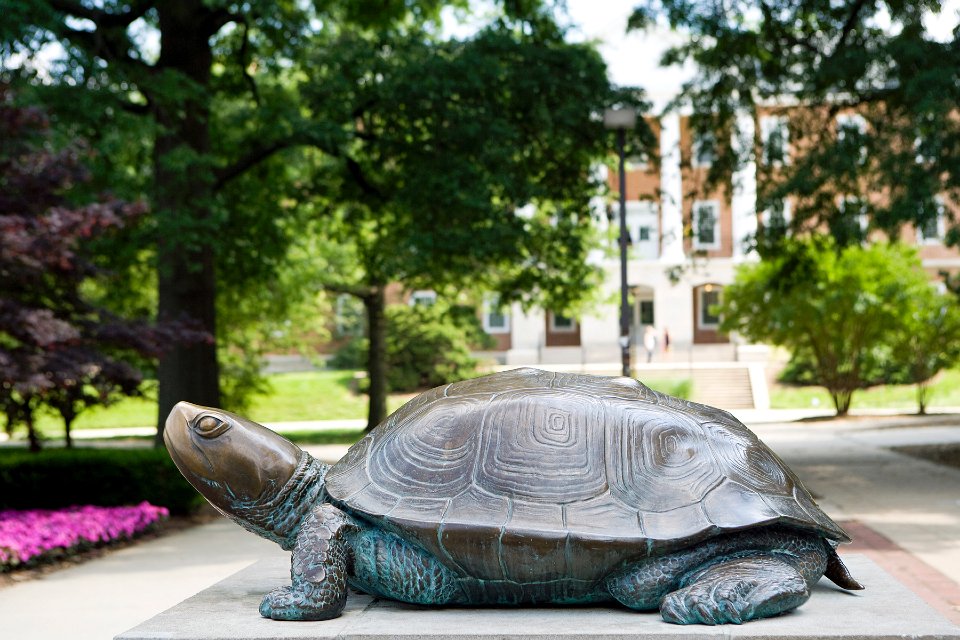 side view of testudo turtle sculpture with trees behind it