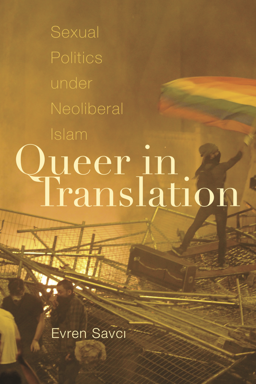 Queer in translation book