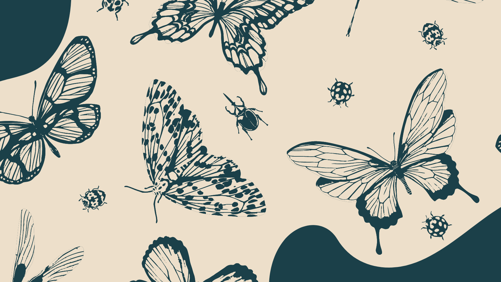 Blue sketches of butterflies and moths on a beige background